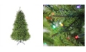 Northlight 7.5' Pre-Lit Northern Pine Full Artificial Christmas Tree - Multi-Color LED Lights